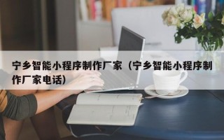 信阳宁乡智能小程序制作厂家（宁乡智能小程序制作厂家电话）