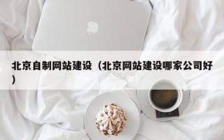 信阳北京自制网站建设（北京网站建设哪家公司好）